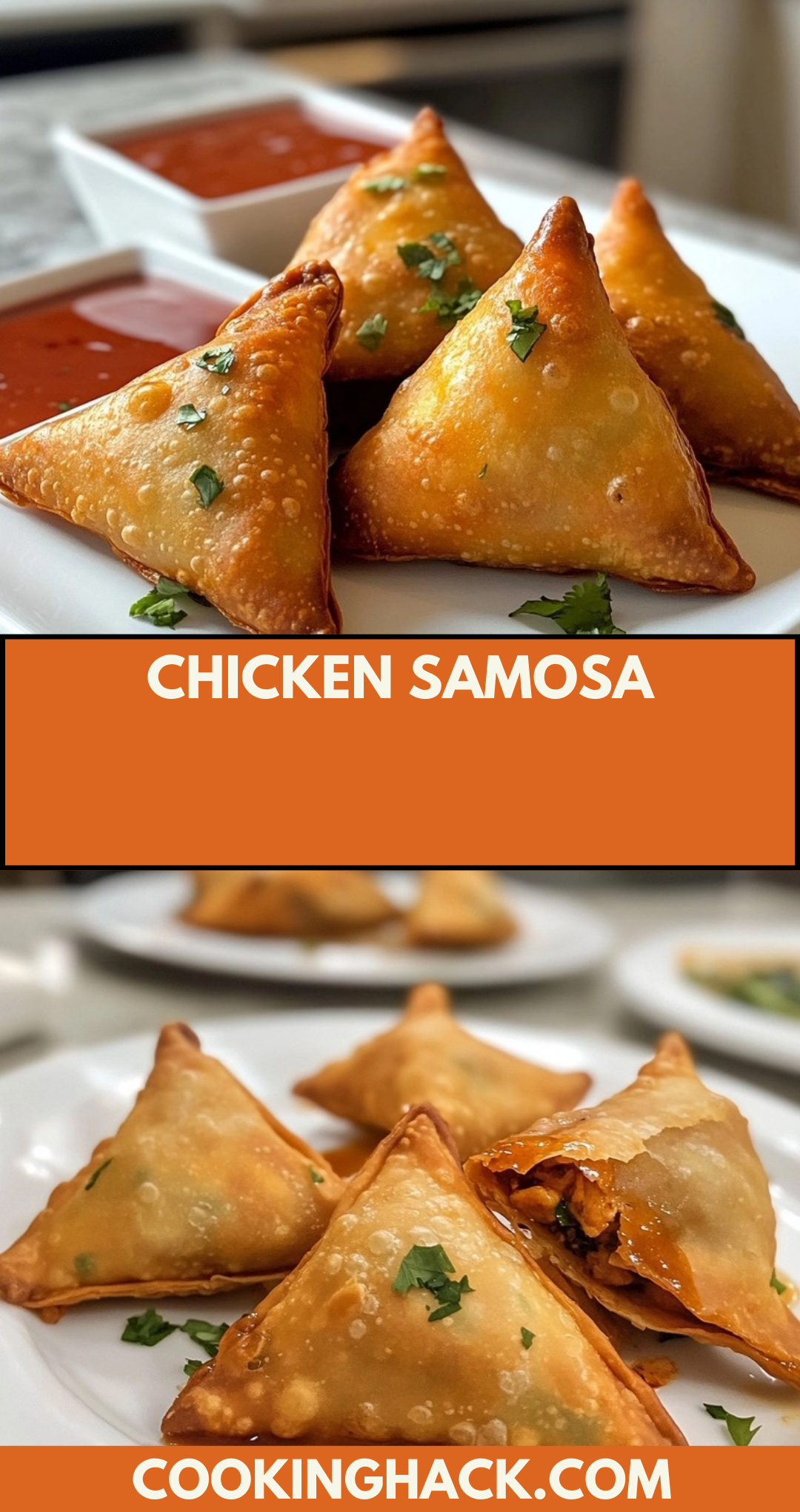 Chicken Samosa